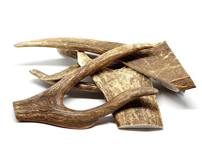 Deer Antlers Dog Treat