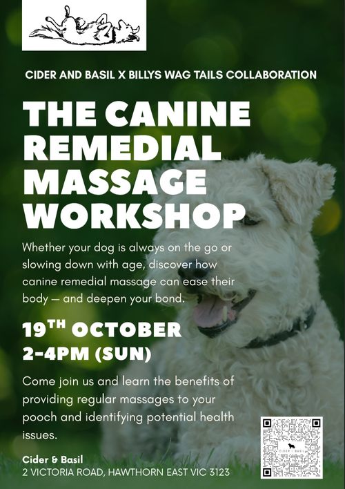 Canine Remedial Massage Workshop-Cider and Basil