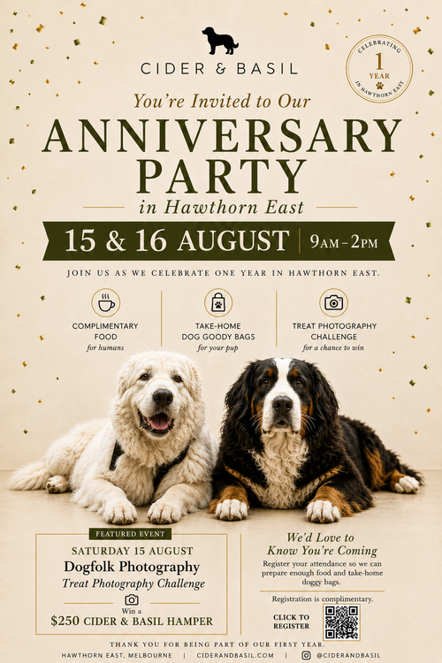 Anniversary Party