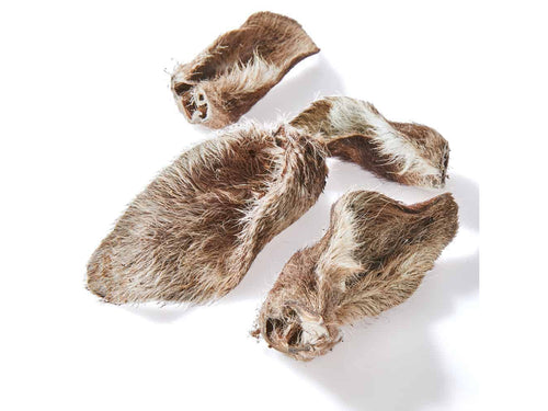 Australian Kangaroo Ears Dog Treat-Dog Treats-Cider and Basil