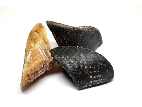 Dog Treats - Mix, Fill & Reward: Big Beef Hooves-Dog Treats-Cider and Basil